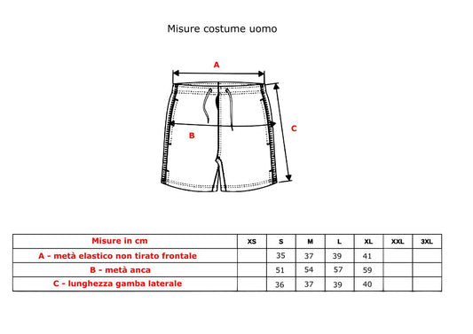 Costume Celeste
